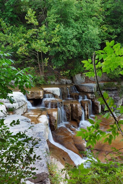 Waterval in het bos