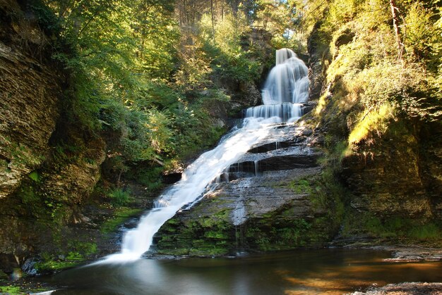 WATERVAL in het herfstbos