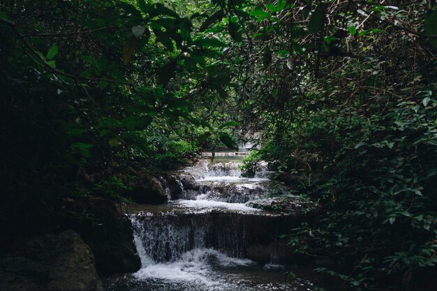 Waterval landschap