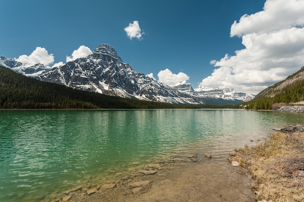 Watervogels meren in de Rocky Mountains