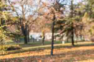 Gratis foto wazig herfst bomen in de tuin