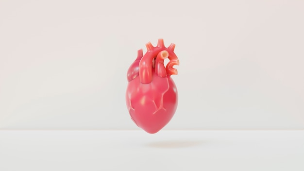 Gratis foto weergave van 3d-anatomisch menselijk hart