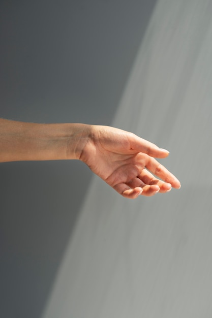 Gratis foto weergave van menselijke hand tegen duidelijke achtergrond