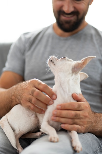 Weergave van schattige chihuahua-hond die tijd doorbrengt met mannelijke eigenaar thuis