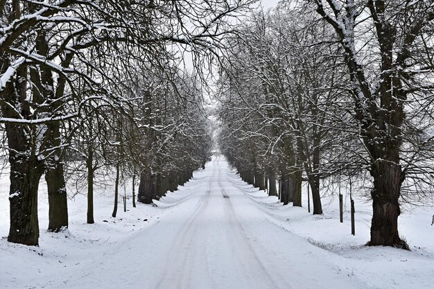 Weg in de winter Besneeuwd bergpad voor een auto Concept voor reizen en veilig rijden in de winter met de auto