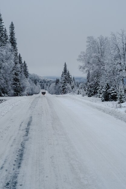 Weg in een bos dat in de sneeuw met een vrachtwagen en bomen op een onscherpe achtergrond wordt behandeld