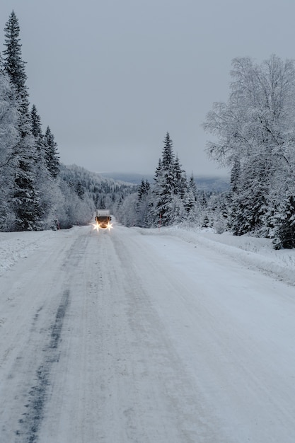 Weg in een bos dat in de sneeuw met een vrachtwagen en bomen wordt behandeld