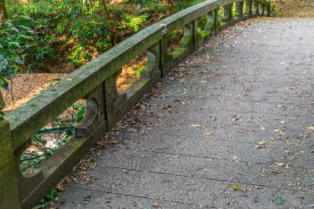 Gratis foto weg in het bos.