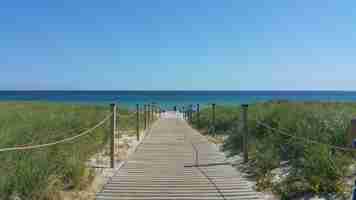 Gratis foto weg naar het strand