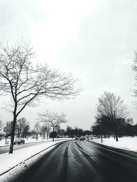 Weg omgeven door bomen en auto's bedekt met sneeuw met gebouwen