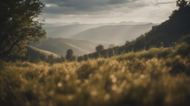 Gratis foto weide in het licht van de ondergaande zon toscane italië