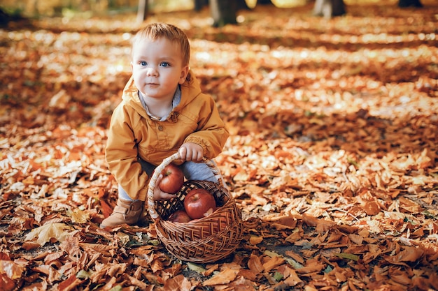 Weinig jongenszitting in een de herfstpark