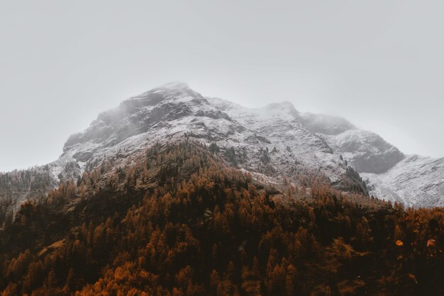 White Glacier Mountain