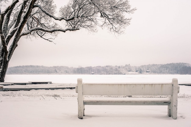 Wide shot van een bankje in een park bedekt met sneeuw naast een boom