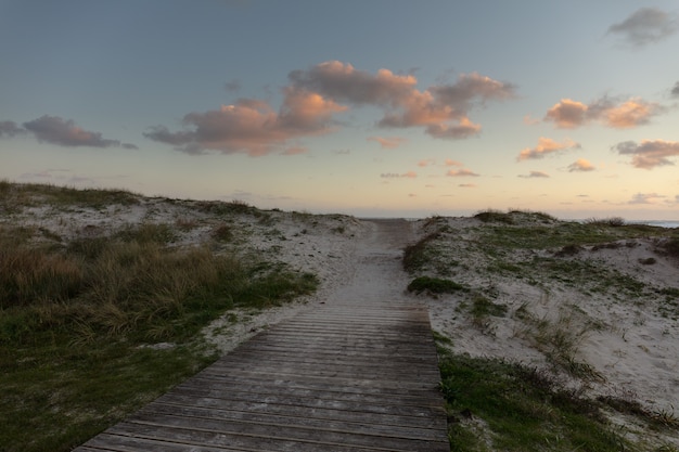 Gratis foto wide shot van een houten pad in het zand met gras rond en een bewolkte hemel