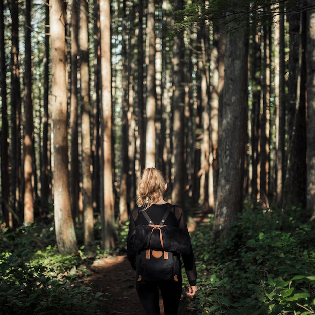 Gratis foto wijfje die in het bos wandelen