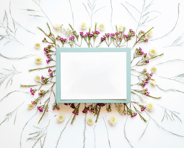 Gratis foto wilde bloemen rond papier