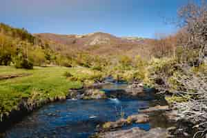 Gratis foto wilde rivier in berglandschap