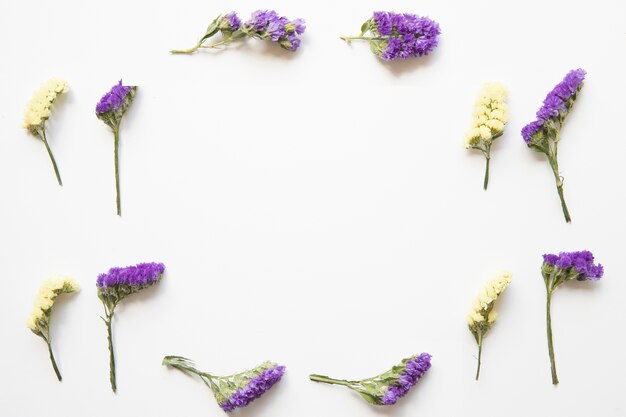 Wilde witte en violette bloemen