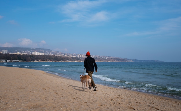 Gratis foto windhondhond met mannelijke eigenaar bij het strand