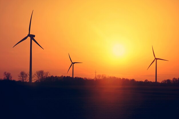 Windmolens en zonsondergang.