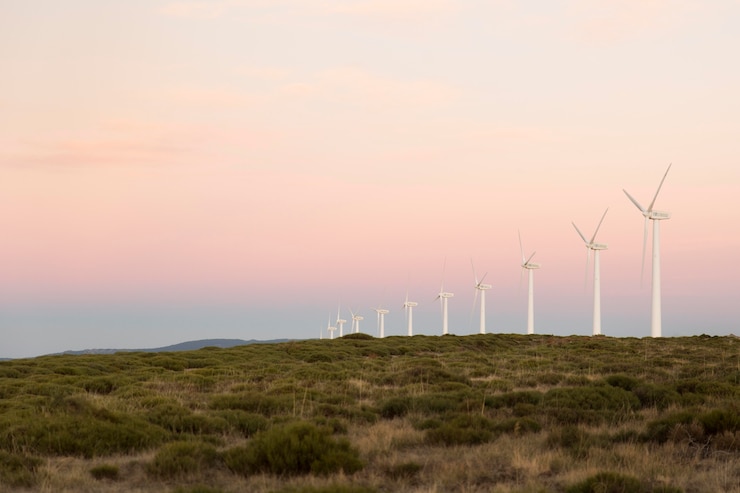 Gratis Foto windparken velden