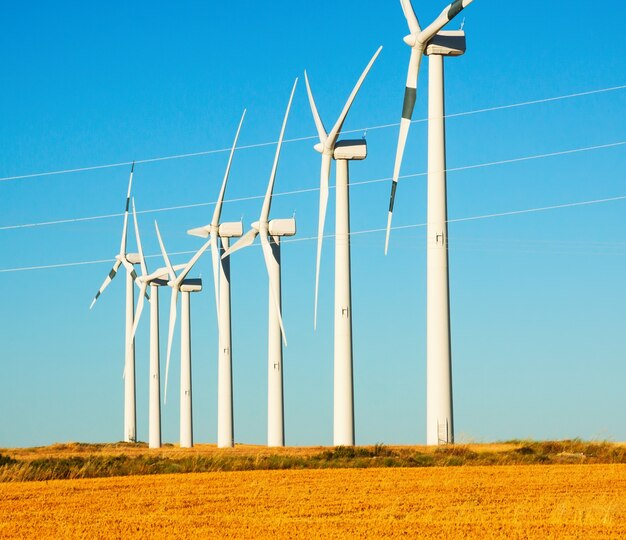 Windturbines op landbouwgrond