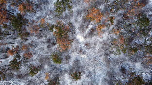 Winterlandschap van hoog boven. drone uitzicht fotografie.