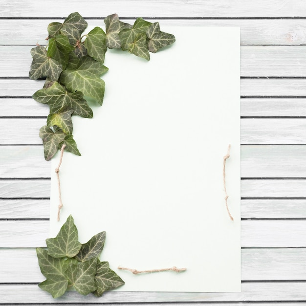 Gratis foto wit en purper nam en groen blad op houten achtergrond toe