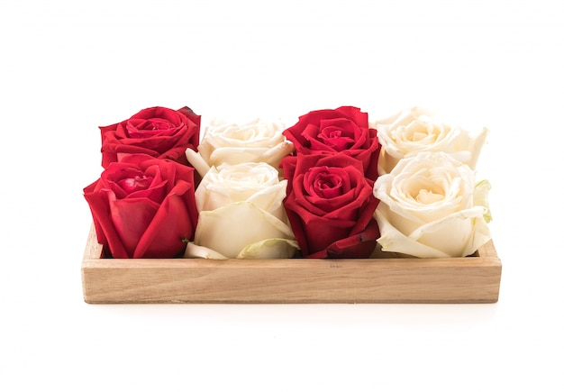 Wit en rood roos op wit
