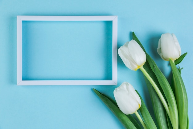 Wit leeg frame met verse tulpen tegen blauwe achtergrond