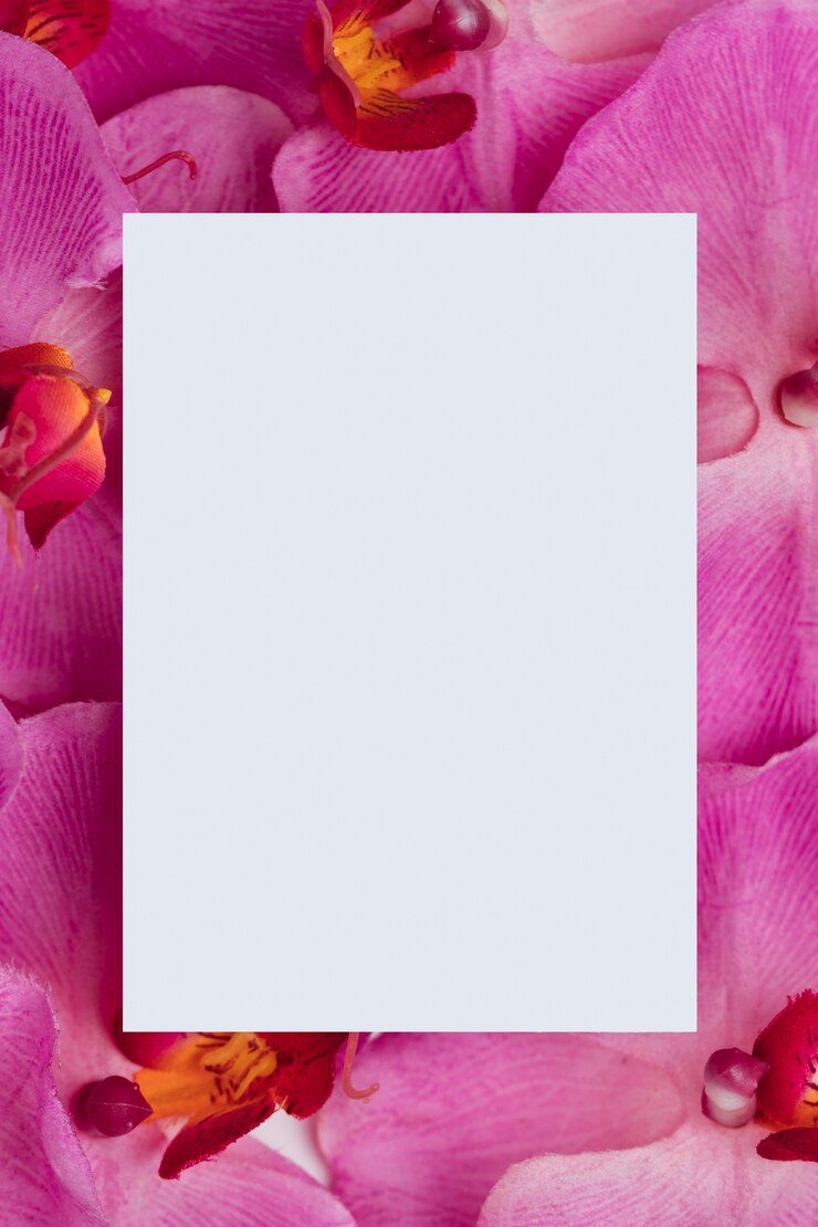 Gratis Foto witboek over paarse orchideeënachtergrond