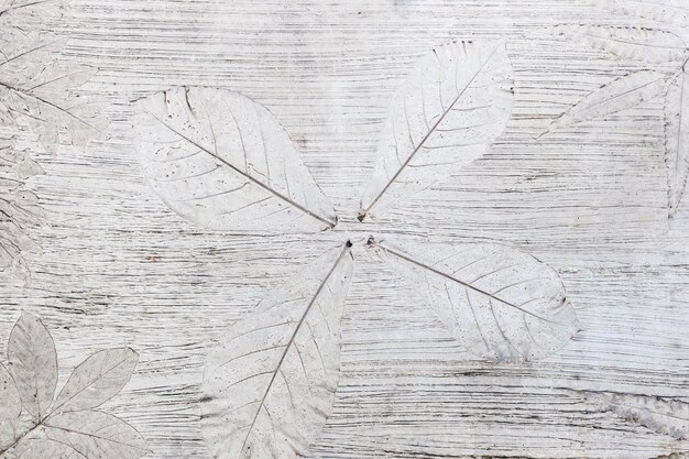 Witte abstracte achtergrond met tropische plantenvormen skeletten van bladeren op de betonnen vloer Premium Foto