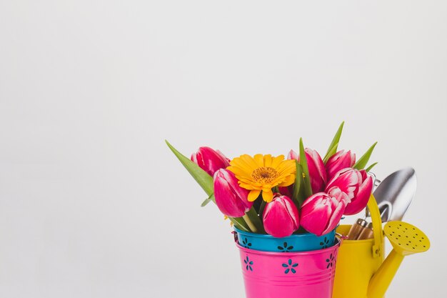 Witte achtergrond met kleurrijke bloemen en tuingereedschap