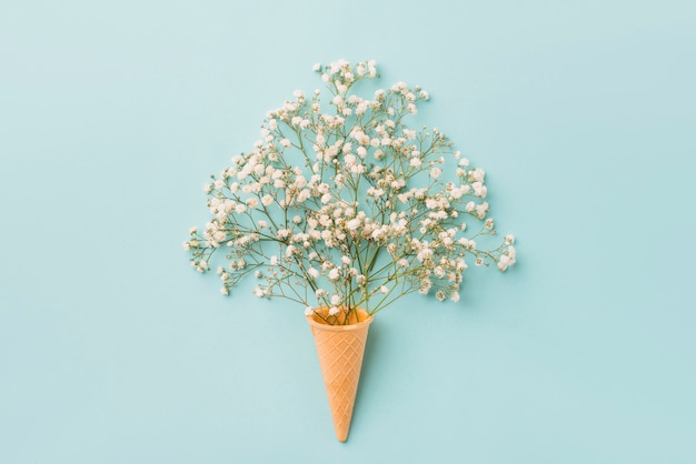 Witte bloemen dichtbij wafelkegel