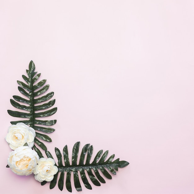 Witte bloemen en groene bladeren FRAME-samenstelling roze achtergrond