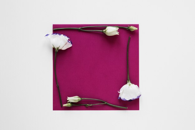 Witte bloemen frame rond een leeg vel papier