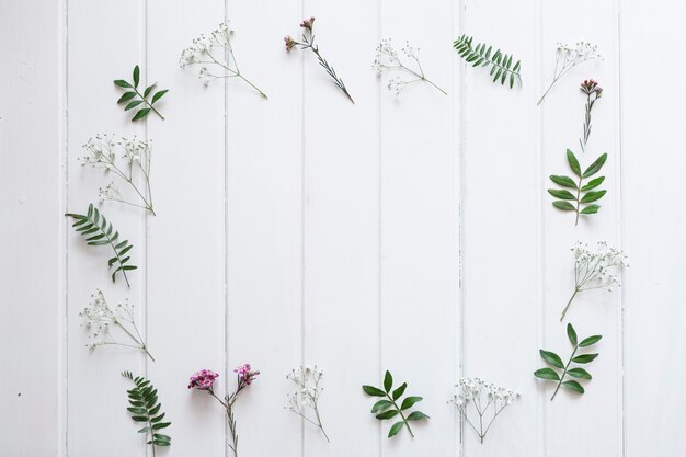 Witte borden met bloemen frame