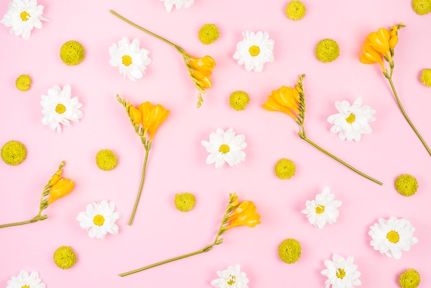 Gratis foto witte en gele bloemen op roze achtergrond