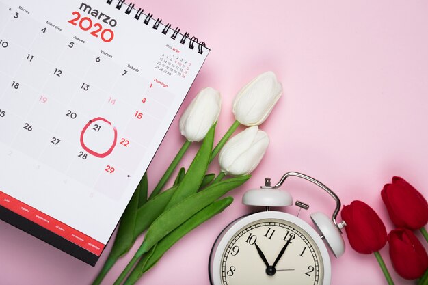 Witte en rode tulpen naast kalender en klok