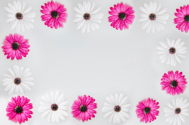 Gratis Foto witte en roze bloemen
