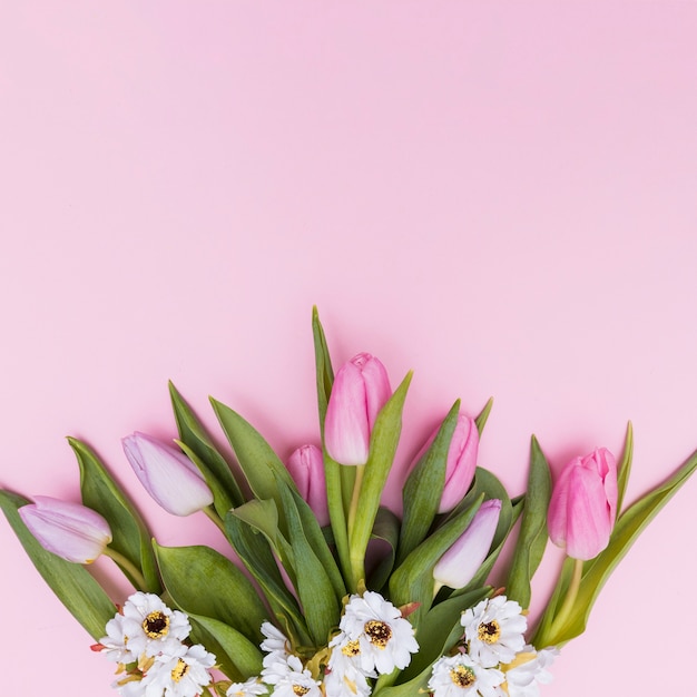 Witte en roze gekleurde bloemen