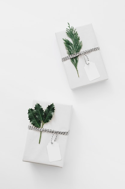 Gratis foto witte geschenkdozen met groene planten