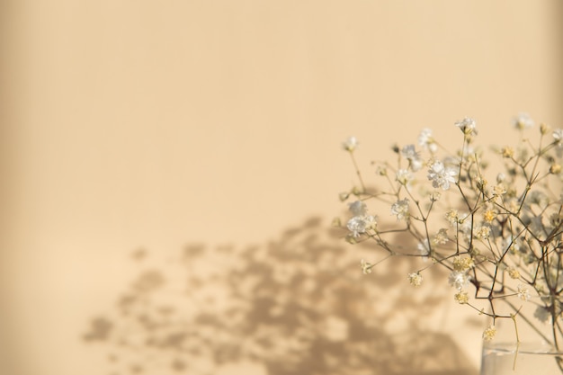 Witte gipskruid bloemen op een beige achtergrond kopie spce
