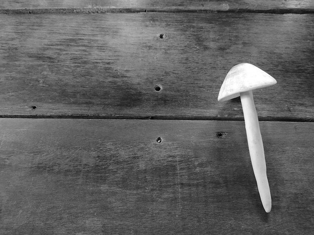 Witte kleine paddestoel op een houten tafel