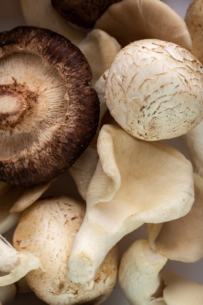 Witte paddestoelen rijpe zachte paddestoelen die op witte achtergrond worden geïsoleerd