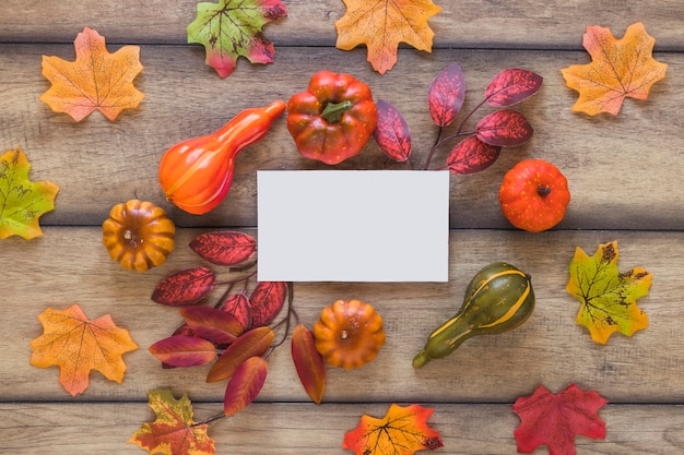 Gratis foto witte plaat tussen bladeren en groenten