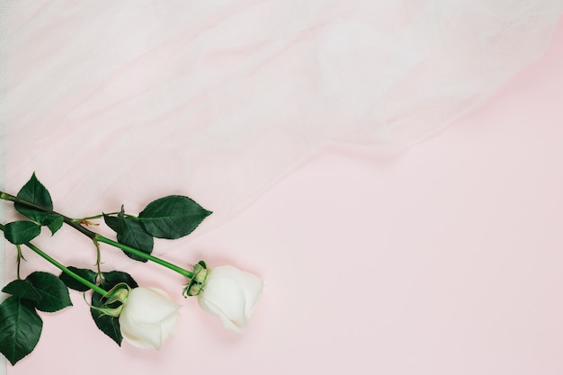 Witte rozen met bruidssluier