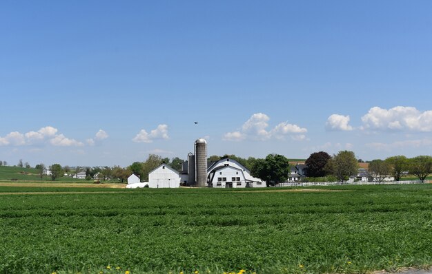 Witte schuren en silo's omgeven door weelderige groene vegetatie.