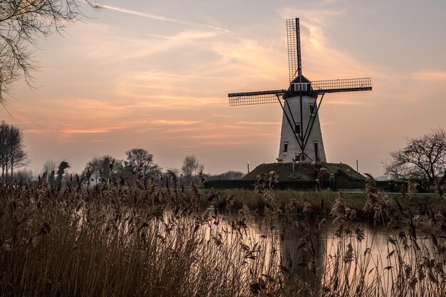 Witte windmolen in de buurt van het meer, omgeven door gras onder de mooie hemel